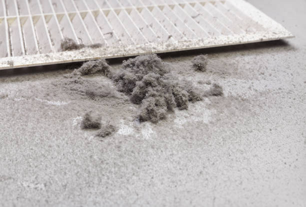 Best Air Duct Cleaning Near Me  in Clemson University, SC