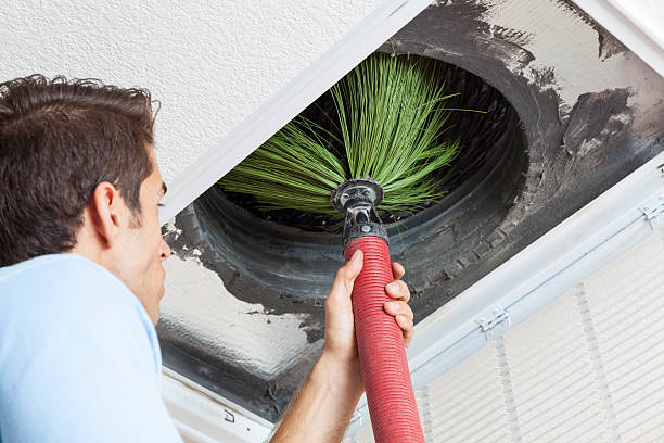 Best Air Duct Sanitizing Services  in Clemson University, SC